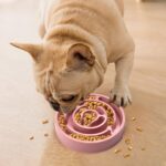 cuencos de comida para perros con rompecabezas - Imagen 3