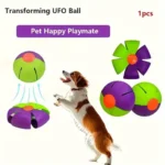 Pelota elástica para mascotas